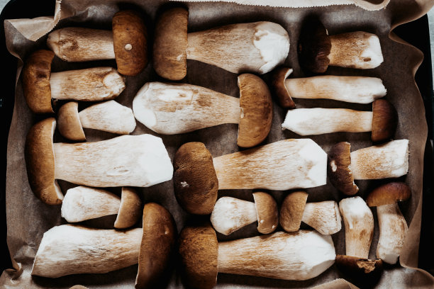 牛肝菌，牛肝菌-森林蘑菇干燥。美食家菜肴。图片下载