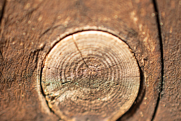 棕色的木质木节图片下载