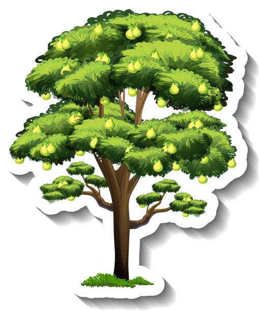 白色背景上的梨树贴纸图片下载