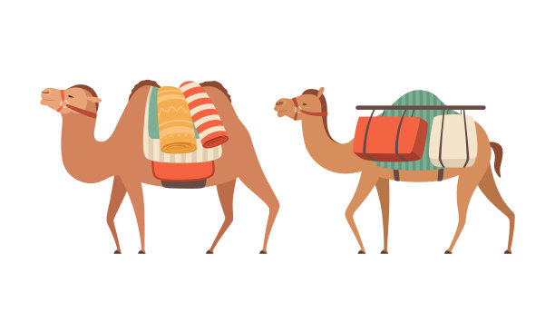 驯养沙漠大篷车动物用图片下载