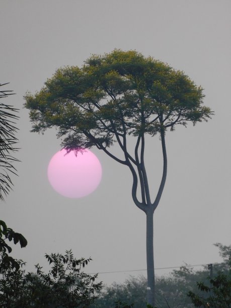 热带日落图片下载