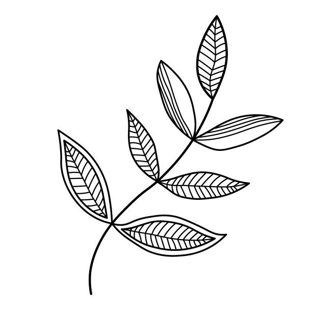 花图形元素向量。叶子，植物的一部分，手绘插图。图片下载