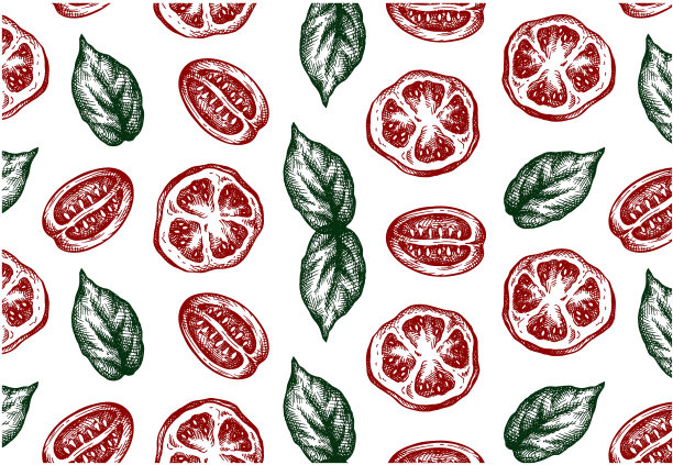 用红色的西红柿和绿色的罗勒叶素描图案。图片下载