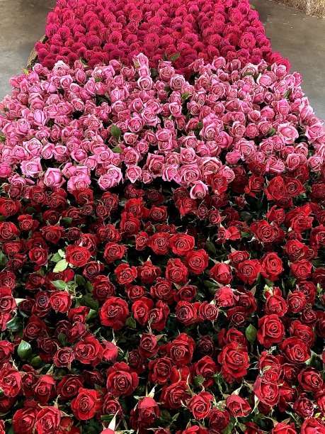 上升的路径图片下载