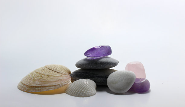 岩石和贝壳图片下载