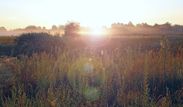 夏日的风景，阳光从蓝天上的白云洒向田野图片下载