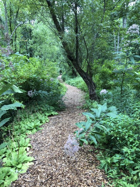 徒步旅行图片下载