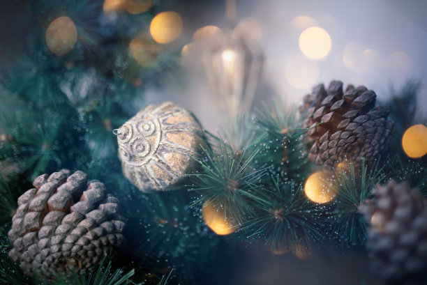各种圣诞装饰品，松果和绿色的冷杉树枝。圣诞节的背景。图片下载