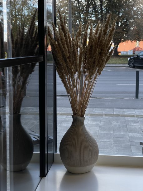 窗户上有小穗的花瓶图片下载