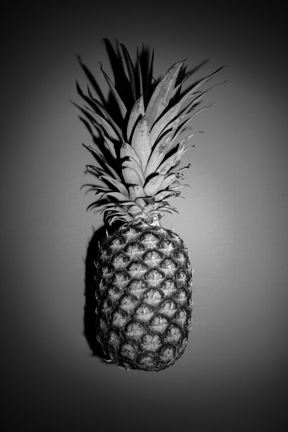 菠萝从上面图片下载