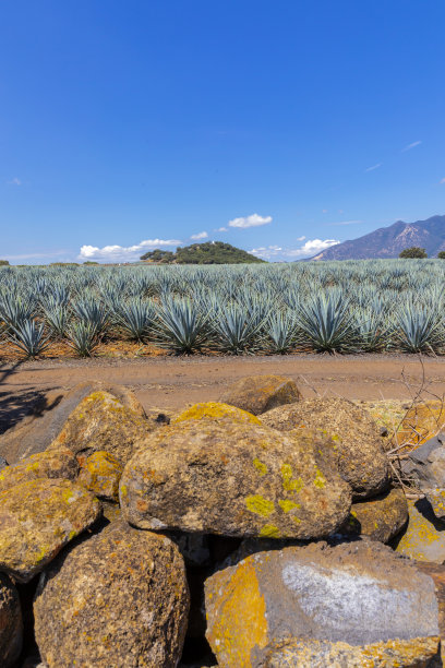 不能是空白图片下载