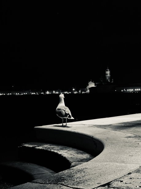 威尼斯图片下载