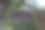 老式招牌，用链子挂在树枝上，供文字和广告使用图片下载