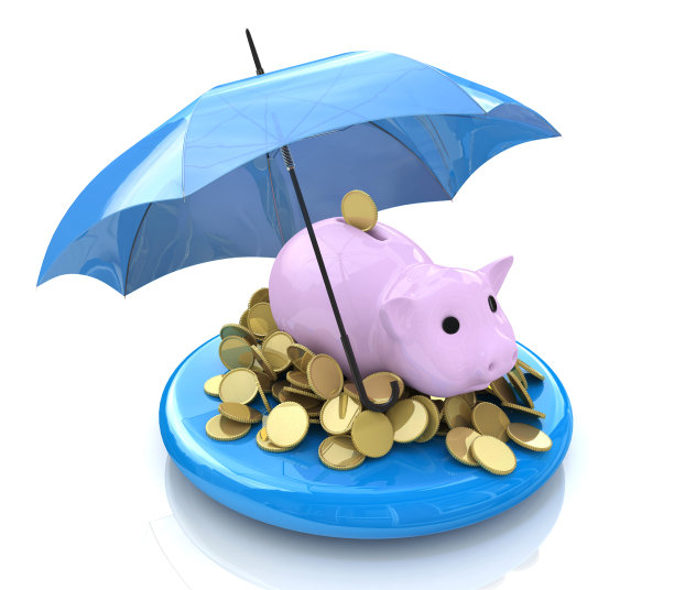 对登记时积累的与财务事项有关的财务信息进行保护。三维演示图片下载