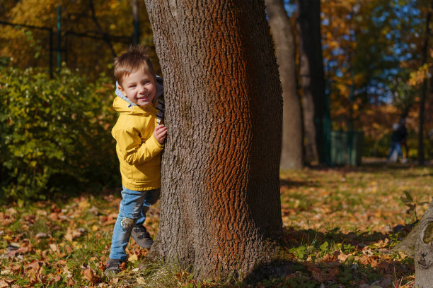 可爱的白种人男孩躲在秋天公园的树后。在户外玩图片下载