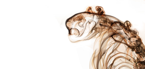 烟是艺术的虎脸图片下载