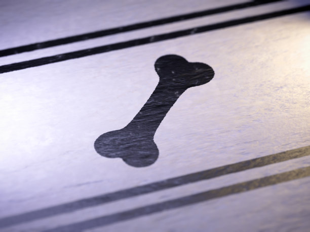 骨图标作为邮票在纸上。图片下载