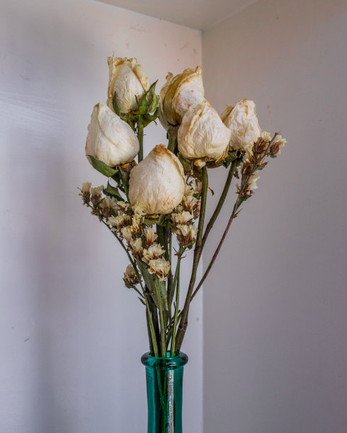 白色的干玫瑰花束在花瓶里图片下载