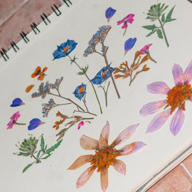 压花作文贴在笔记本上图片下载