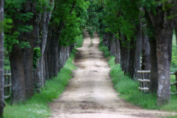 目的地图片下载