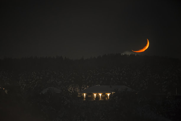 森林上一轮圆月图片下载