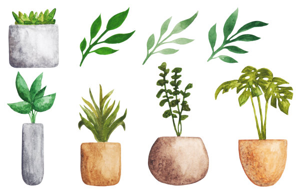 水彩植物盆栽组合：混凝土盆和陶盆中的植物，包括绿植榕树、芦荟、多肉植物、吊兰等图片下载