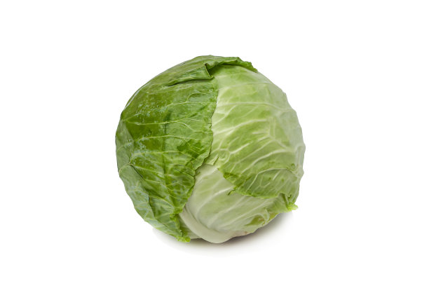 白色背景上的新鲜卷心菜图片下载