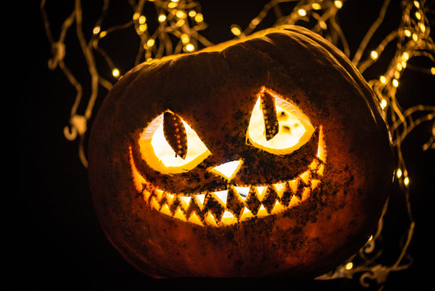 雕刻在万圣节南瓜上的猫的微笑图片下载