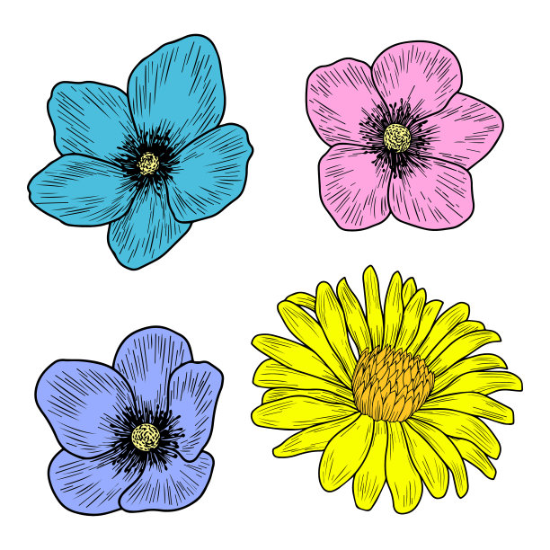 手绘矢量花隔离在白色上图片下载