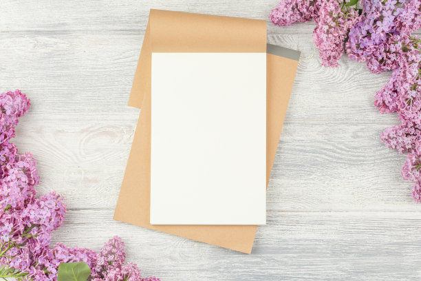 笔记本，钢笔和紫丁香图片下载