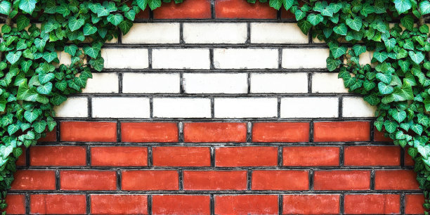 背景是长满常春藤的砖墙图片下载