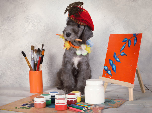 小狗贝德林顿艺术家在一个创造性的工作室图片下载