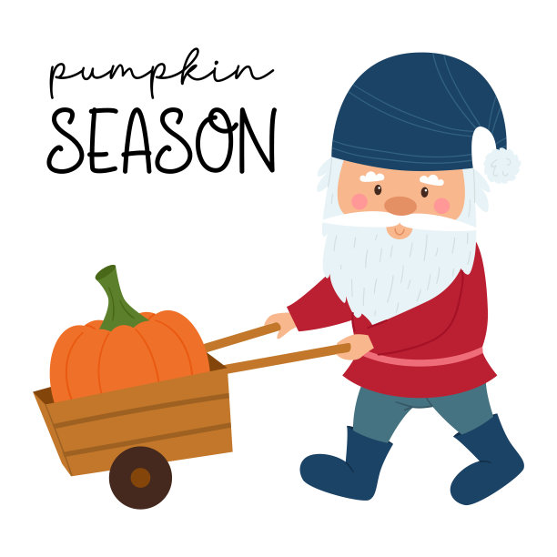 一个长着胡子、戴着蓝色帽子的小矮人正用一辆木车载着一个南瓜。卡片上有小矮人和南瓜季节的字样。可爱的卡通老人，白色背景上孤立的角色。图片下载