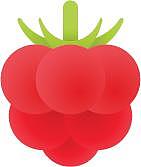 水果红树莓卡通扁平元素图片下载