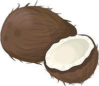 蔬菜椰子椰果卡通扁平元素图片下载