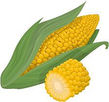蔬菜玉米甜玉米卡通扁平元素图片下载