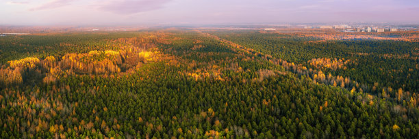 大的秋天森林和遥远的城市全景图片下载