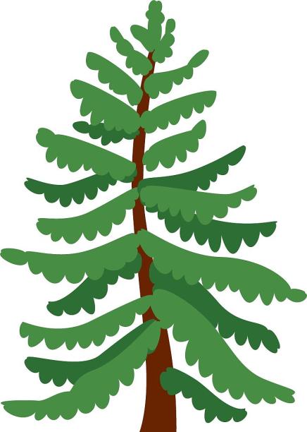 手绘插画四季植物树木雪松装饰元素图片下载