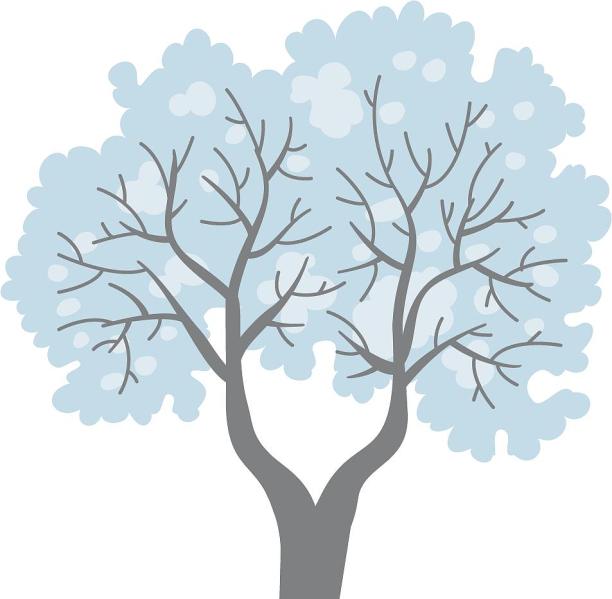 手绘插画冬季大自然植物树木树枝装饰元素图片下载