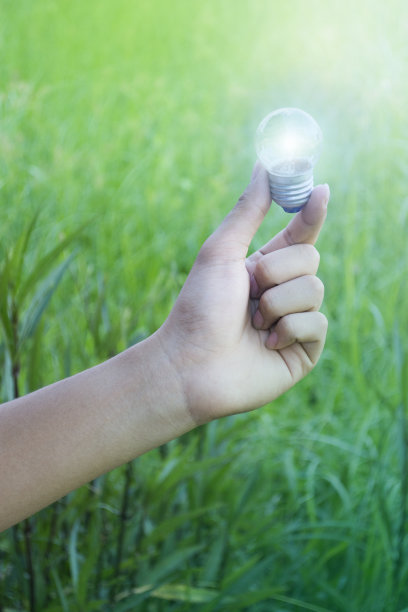 手持灯泡在自然界的能源和太阳能概念中成长。生态学的概念。图片下载
