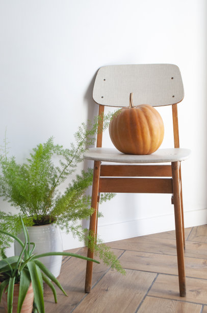 现代客厅内部。图片下载