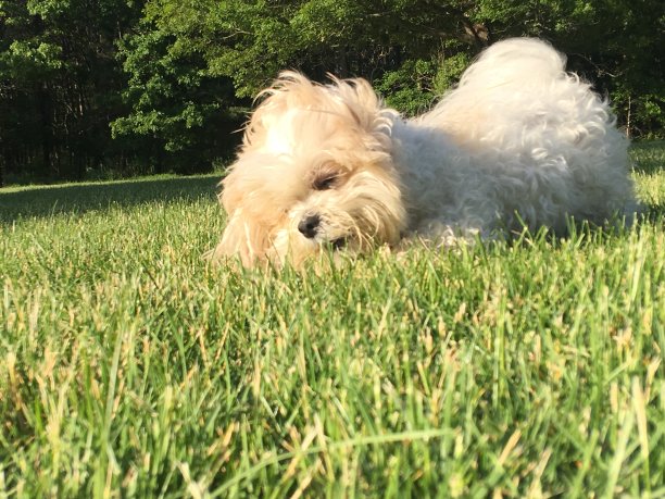 爸爸的女孩图片下载
