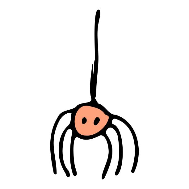 万圣节蜘蛛动物蜘蛛网涂鸦手绘卡通元素图片下载