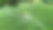 芋头叶子与水滴细节-特写图片下载