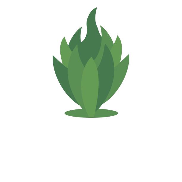 扁平绿植桌面盆栽植物卡通元素图片下载