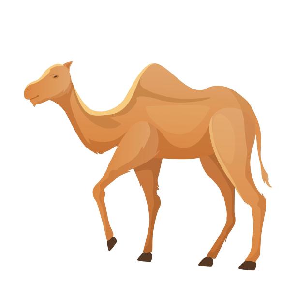沙漠骆驼可爱动物卡通扁平元素图片下载