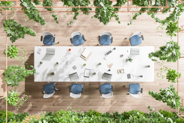 环境友好的董事会会议室的俯视图，有会议桌，办公椅，围墙花园和蔓生植物。图片下载