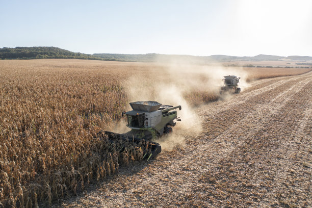 联合收获玉米农田。图片下载