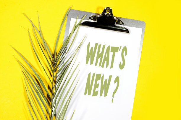 有什么新鲜事吗?问题概念与棕榈叶孤立黄色剪贴板图片下载
