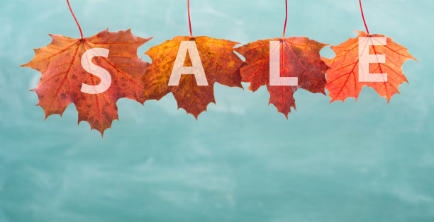文字销售是站在秋天的彩色树叶，蓝色的背景，复制空间图片下载
